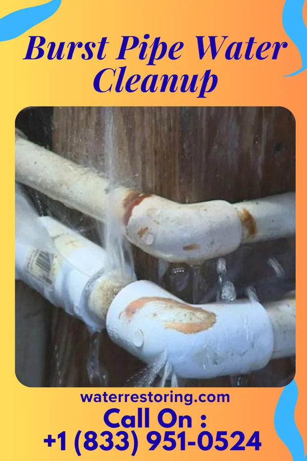 Burst Pipe Water Cleanup in Sacred Heart University, CT