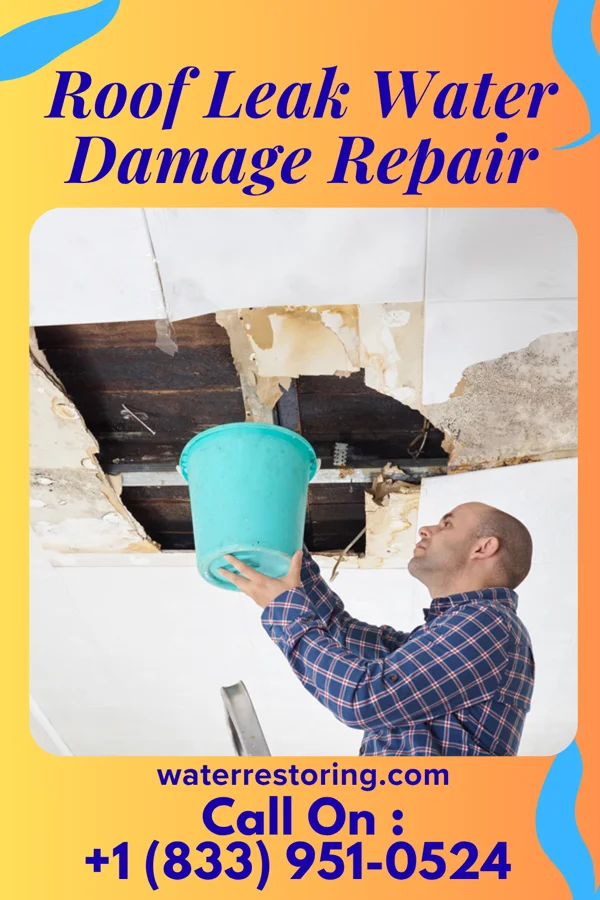 Roof Leak Water Damage Repair in Sacred Heart University, CT
