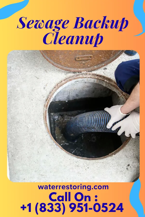 Sewage Backup Cleanup in Sacred Heart University, CT