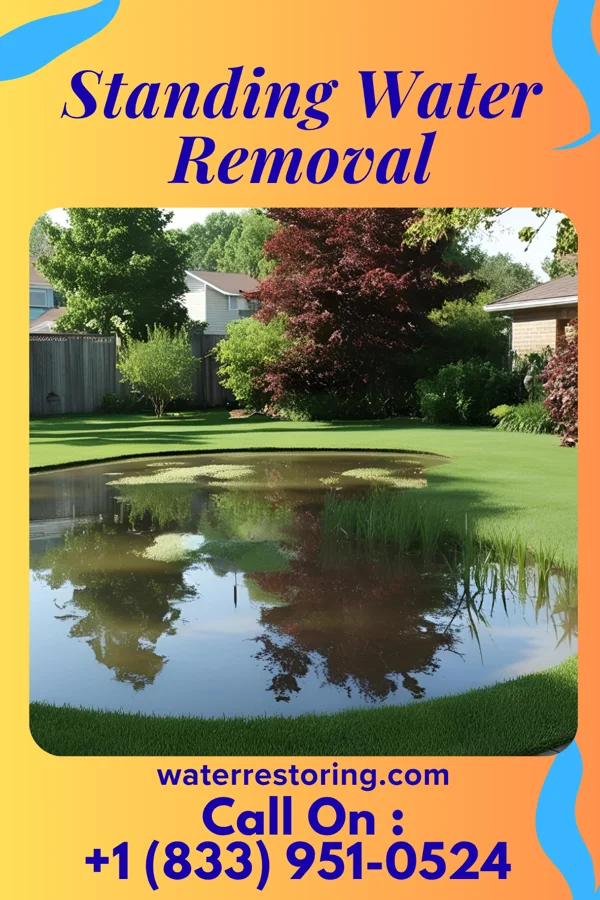 Standing Water Removal in Sacred Heart University, CT